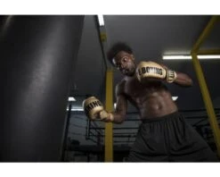 TITLE Gold Series Select Training Gloves 8 TITLE Gold Series Select Training Gloves -Venum Boxing Sales Store 9y9a2586 1