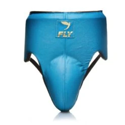 Fly Wraith Groinguard -Venum Boxing Sales Store aquagold