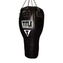 TITLE Big Bang Heavy Bag