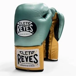 Cleto Reyes Professional Fight - WBC Edition