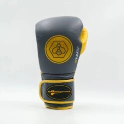 Honey Punch Float G1 Series Pro Spar Boxing Gloves