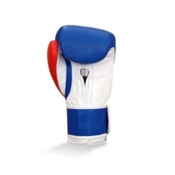 Ringside Junior Training Boxing Gloves -Venum Boxing Sales Store junior glove 2012 blue back