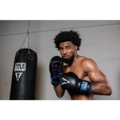 TITLE Platinum Perilous Lace Sparring Gloves -Venum Boxing Sales Store ppssgl 1