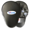 Winning CM-65 High Grade Type Punch Mitts