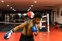 TITLE Deluxe King Cobra Reflex Bag -Venum Boxing Sales Store tfsrb 10