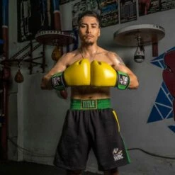 TITLE Boxing WBC Jose Sulaiman Training Gloves -Venum Boxing Sales Store title boxing wbc training gloves 5
