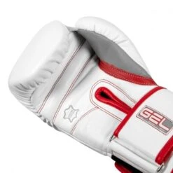 TITLE GEL Special Edition Bag Gloves -Venum Boxing Sales Store title gel special edition bag gloves 3