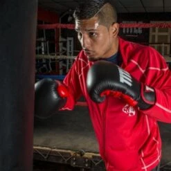 TITLE Dynamic Strike Heavy Bag Gloves -Venum Boxing Sales Store xdbg bk rd 2 1 1