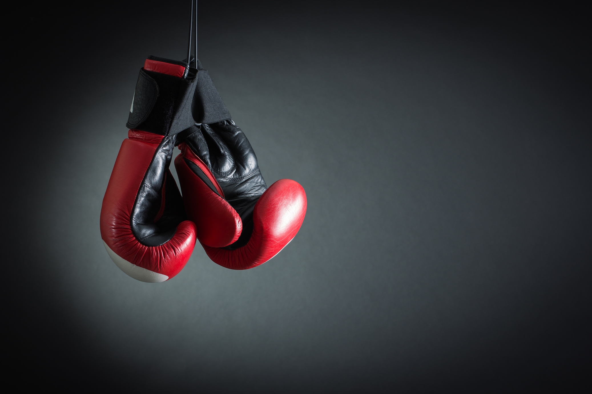 Venum Boxing Sales Store -Venum Boxing Sales Store AdobeStock 80211655 40
